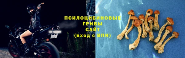 гидра Балабаново