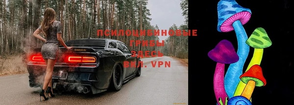 spice Балахна