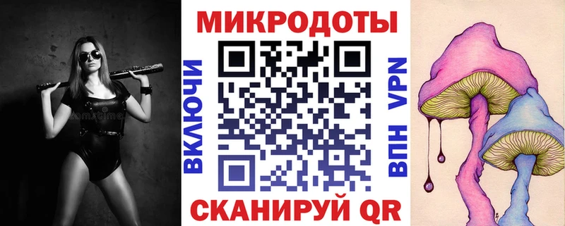 Галлюциногенные грибы Psilocybine cubensis Ершов
