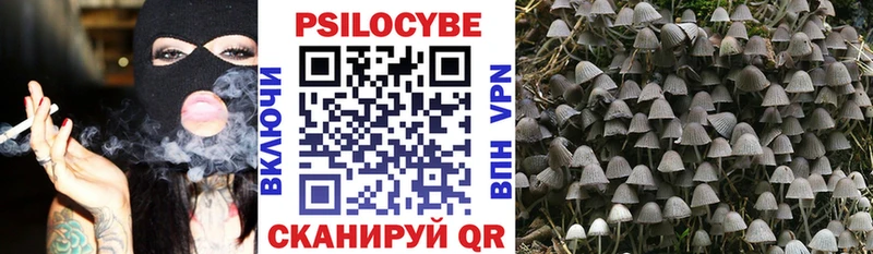 Галлюциногенные грибы ЛСД  Ершов 